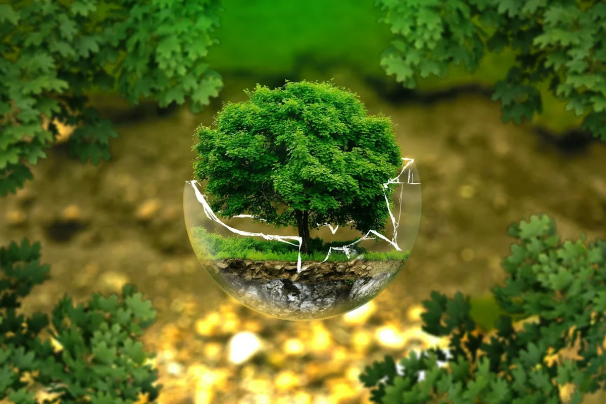 Comprar Diploma do Curso de Engenharia Ambiental